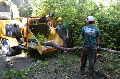 tree services Oak Grove Heights